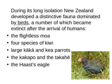 During its long isolation New Zealand developed a distinctive fauna dominated...