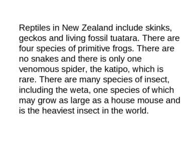 Reptiles in New Zealand include skinks, geckos and living fossil tuatara. The...