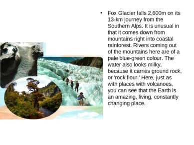 Fox Glacier falls 2,600m on its 13-km journey from the Southern Alps. It is u...