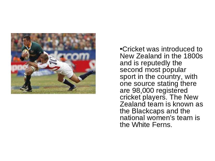 Cricket was introduced to New Zealand in the 1800s and is reputedly the secon...