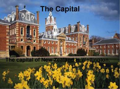 The Capital The capital of New Zealand is Wellington.