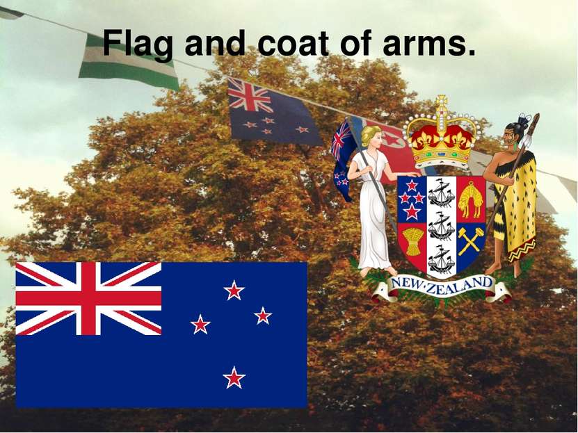 Flag and coat of arms.