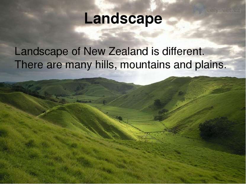 Landscape Landscape of New Zealand is different. There are many hills, mounta...