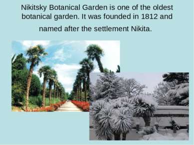 Nikitsky Botanical Garden is one of the oldest botanical garden. It was found...