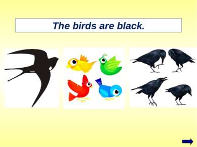 The birds are black.