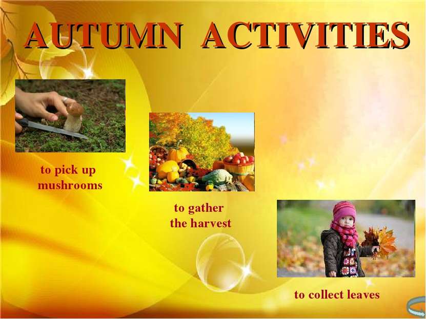 to pick up mushrooms to gather the harvest to collect leaves AUTUMN ACTIVITIES