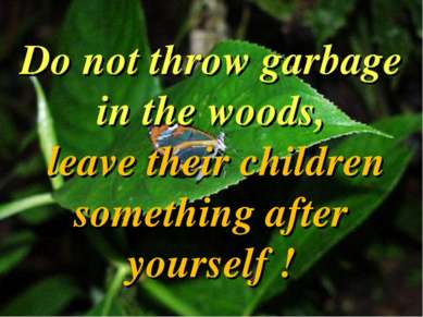 Do not throw garbage in the woods, leave their children something after yours...