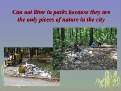 Can not litter in parks because they are the only pieces of nature in the city
