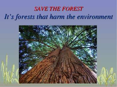 SAVE THE FOREST It’s forests that harm the environment