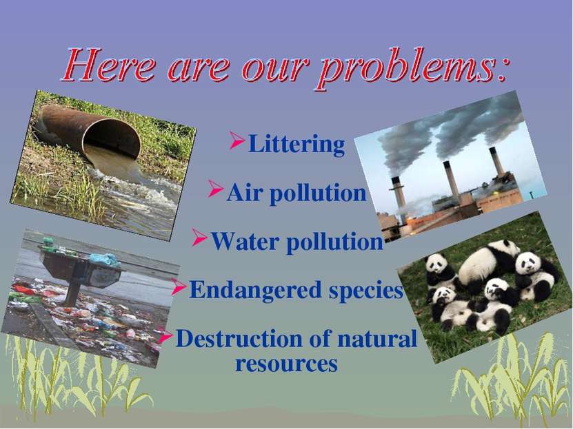 Littering Air pollution Water pollution Endangered species Destruction of nat...
