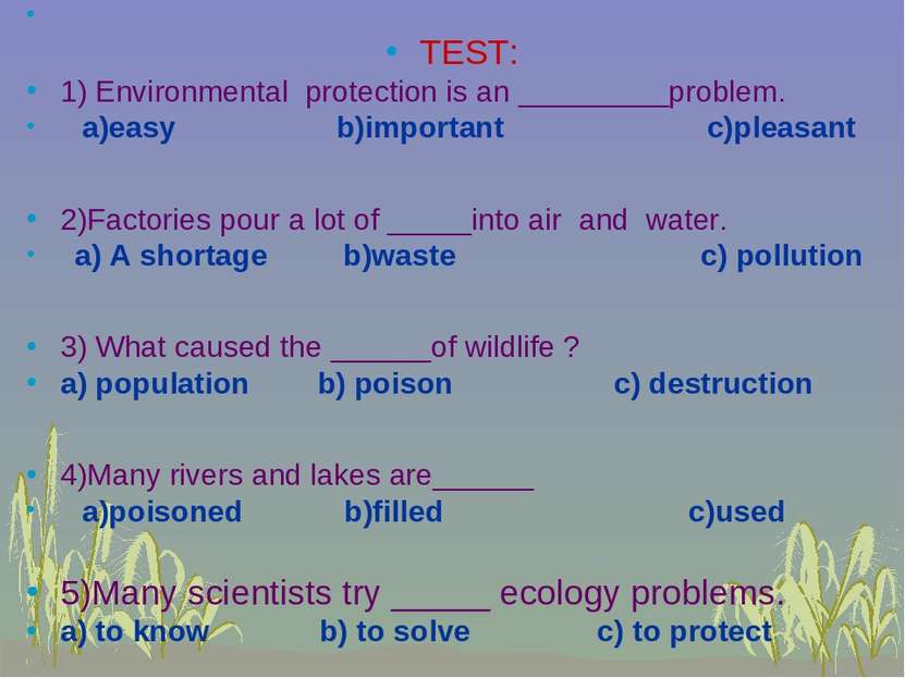 TEST: 1) Environmental protection is an _________problem. a)easy b)important ...