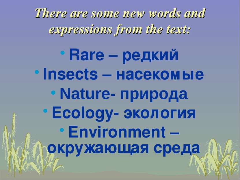There are some new words and expressions from the text: Rare – редкий Insects...