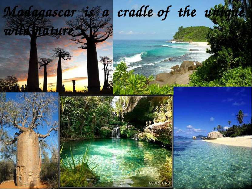 Madagascar is a cradle of the unique wild nature