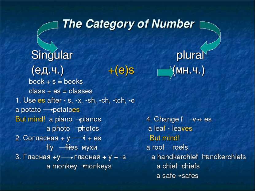 The Category of Number Singular plural (ед.ч.) +(e)s (мн.ч.) book + s = books...