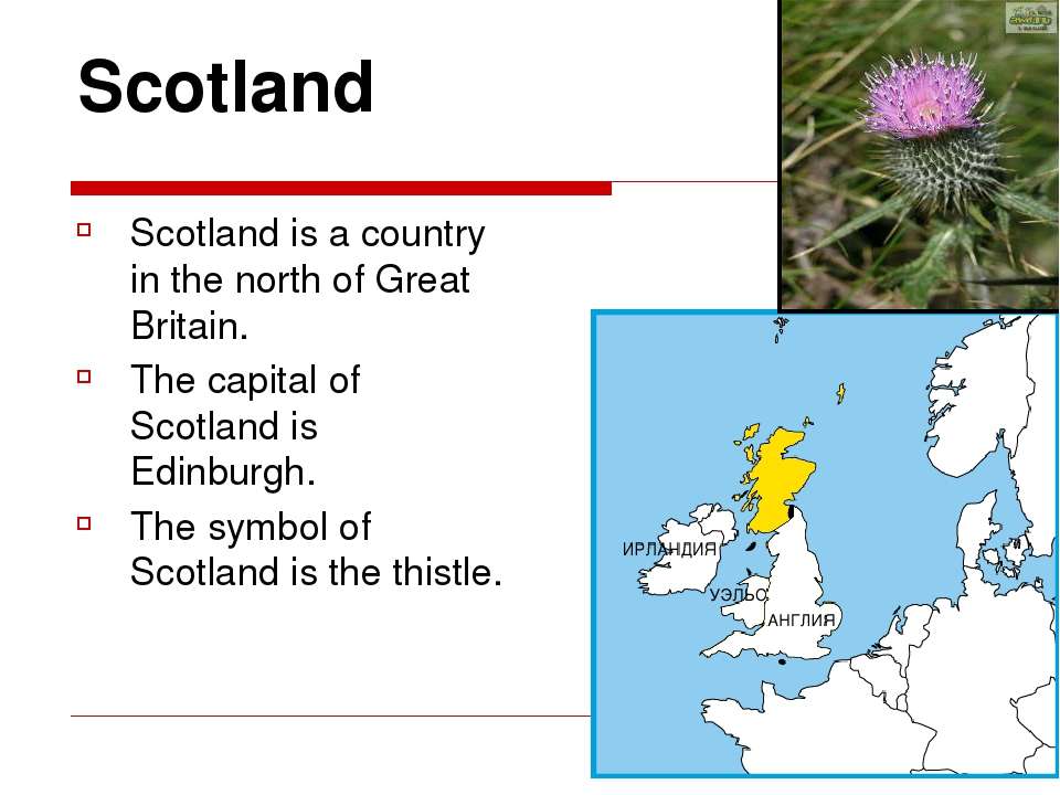 The Capital of Scotland is. Scotland Map Capital. Scotland symbols of the Country. Which is the symbol of Scotland?. The official name of the uk is
