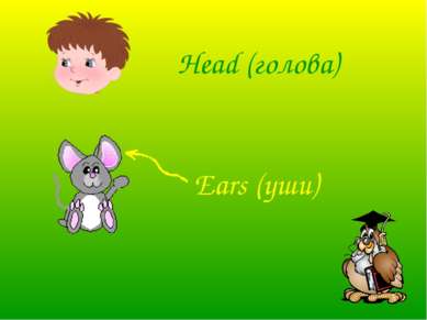 Head (голова) Ears (уши)