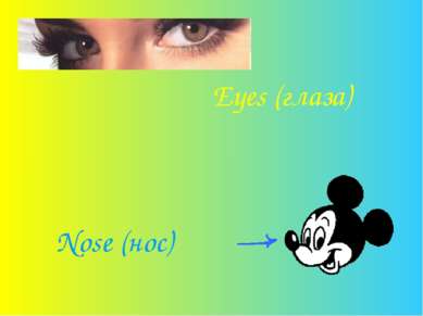 Eyes (глаза) Nose (нос)