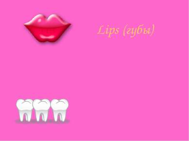 Lips (губы) Teeth (зубы)