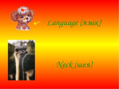 Language (язык) Neсk (шея)