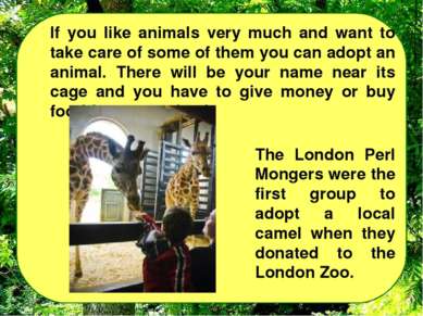 If you like animals very much and want to take care of some of them you can a...