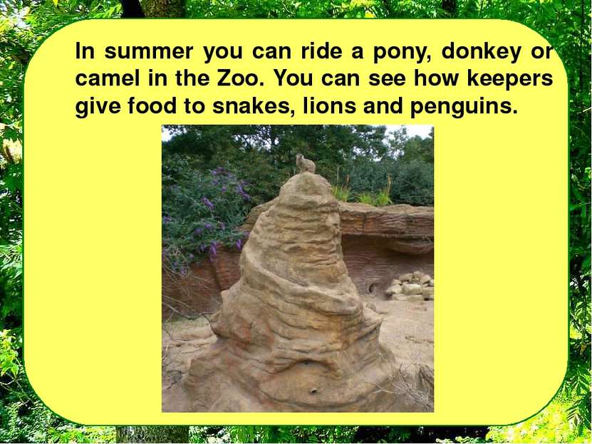 In summer you can ride a pony, donkey or camel in the Zoo. You can see how ke...