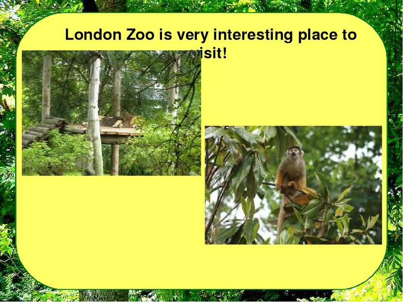 London Zoo is very interesting place to visit!