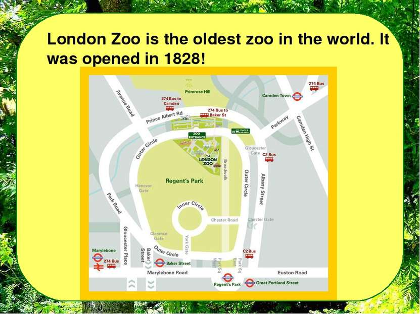 London Zoo is the oldest zoo in the world. It was opened in 1828!