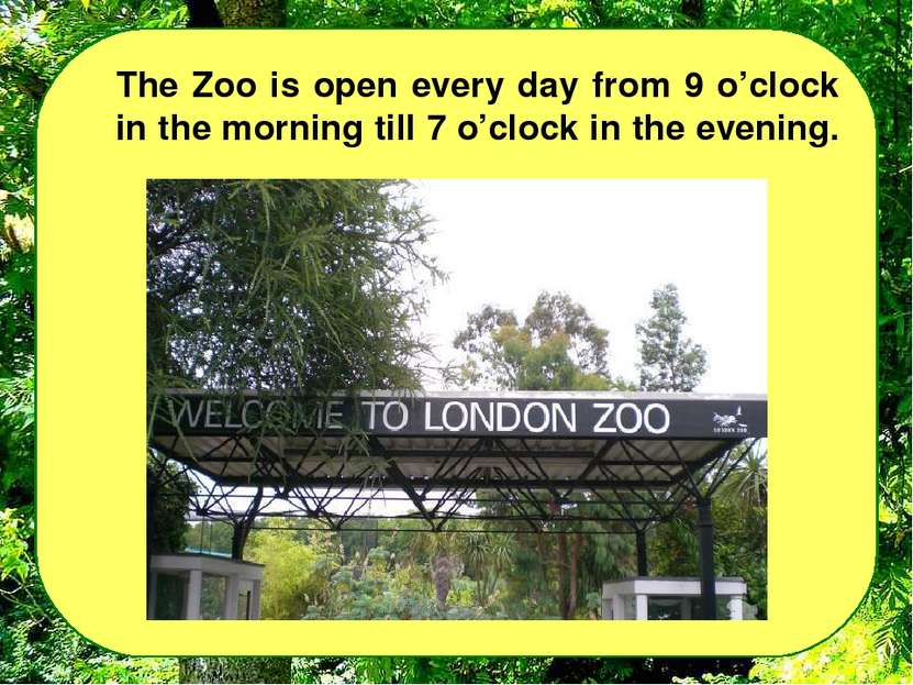 The Zoo is open every day from 9 o’clock in the morning till 7 o’clock in the...