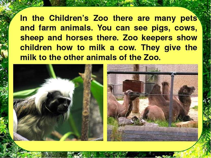 In the Children’s Zoo there are many pets and farm animals. You can see pigs,...