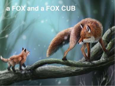 a FOX and a FOX CUB