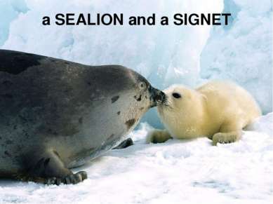 a SEALION and a SIGNET