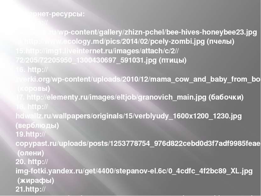 Интернет-ресурсы: 14. http://24medok.ru/wp-content/gallery/zhizn-pchel/bee-hi...