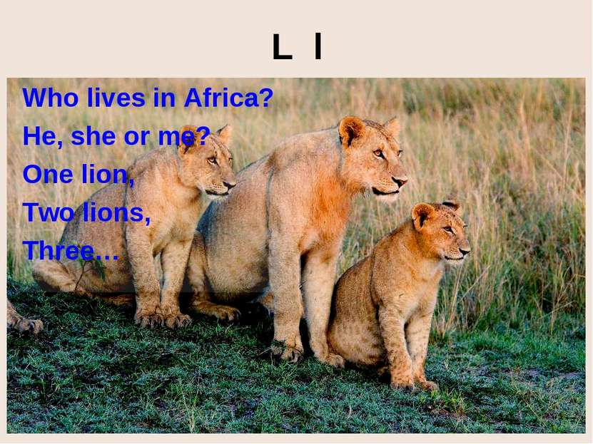 L l Who lives in Africa? He, she or me? One lion, Two lions, Three…