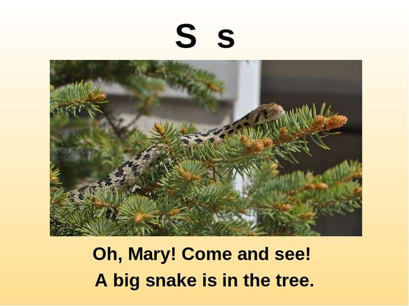 S s Oh, Mary! Come and see! A big snake is in the tree.