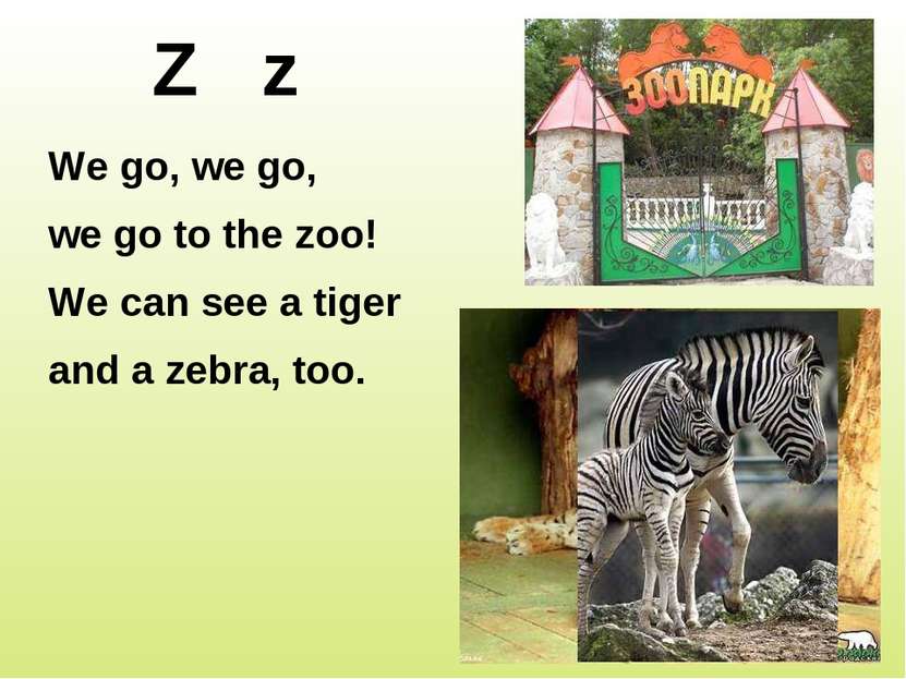 Z z We go, we go, we go to the zoo! We can see a tiger and a zebra, too.