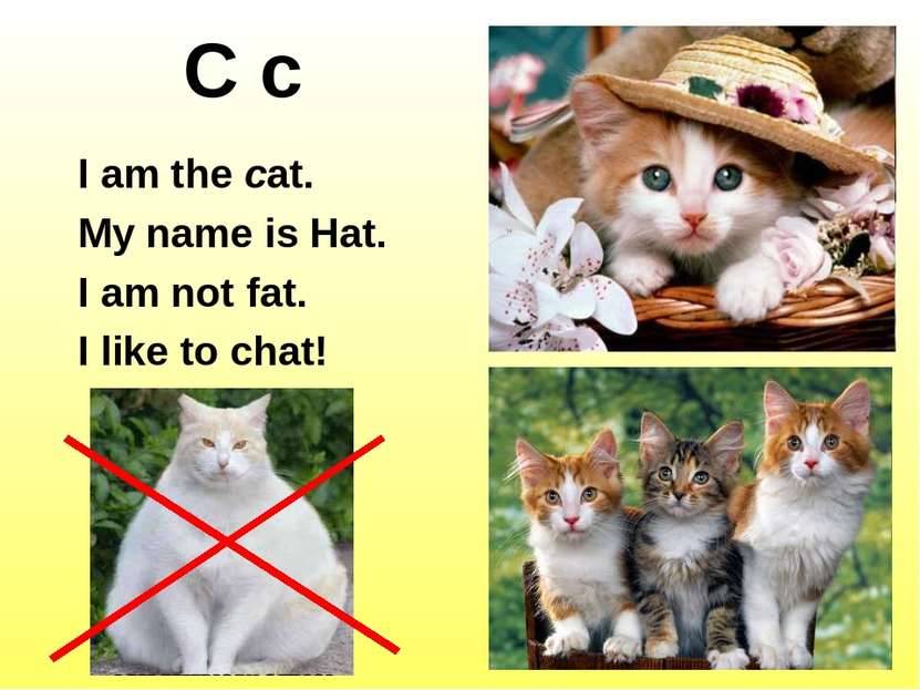 C c I am the cat. My name is Hat. I am not fat. I like to chat!