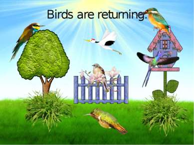 Birds are returning.