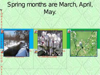 Spring months are March, April, May.