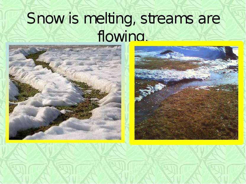 Snow is melting, streams are flowing.
