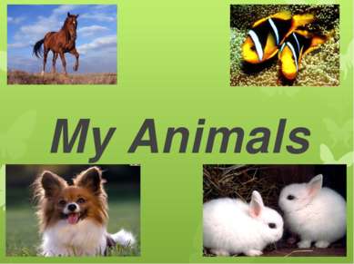 My Animals