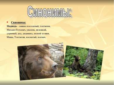 Синонимы: Медведь – мишка косолапый, топтыгин, Михаил Потапыч, увалень, нелов...