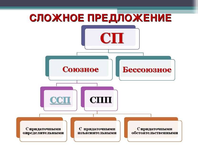 СЛОЖНОЕ ПРЕДЛОЖЕНИЕ