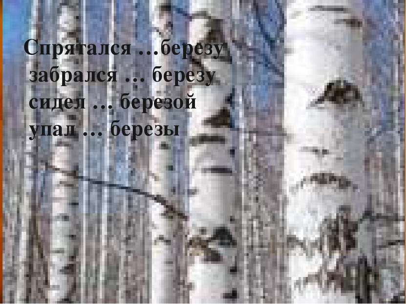 Спрятался …березу забрался … березу сидел … березой упал … березы