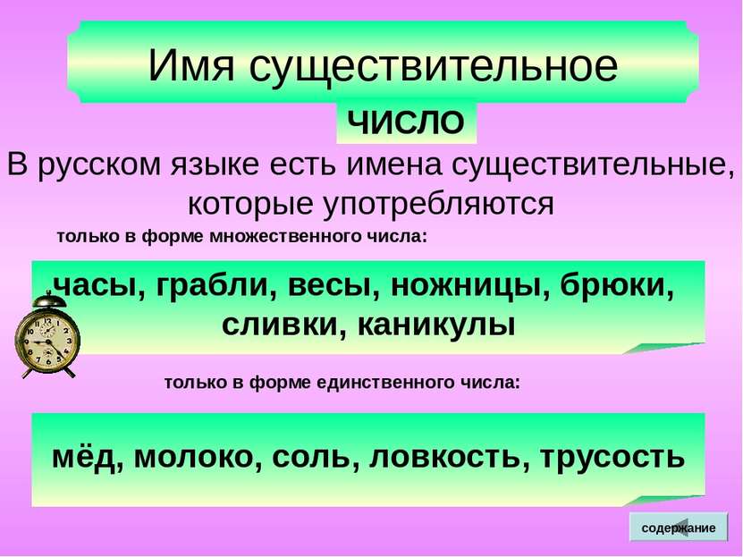 Всегда являются существительными. Число имен существительных. Числа существительного в русском языке. Имена сущ в единственном числе. Число имен сущ.