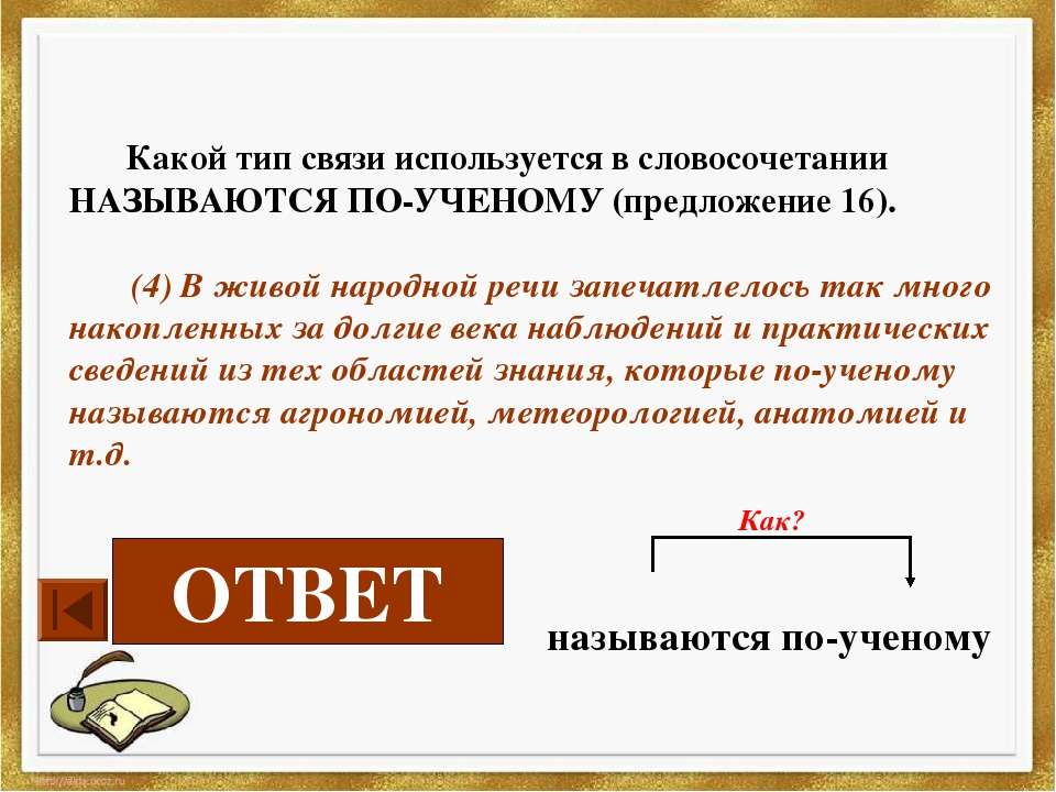 Живое предложение. Что называют словосочетанием.