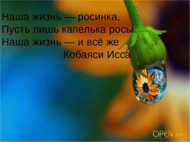 Наша жизнь — росинка, Пусть лишь капелька росы Наша жизнь — и всё же Кобаяси ...