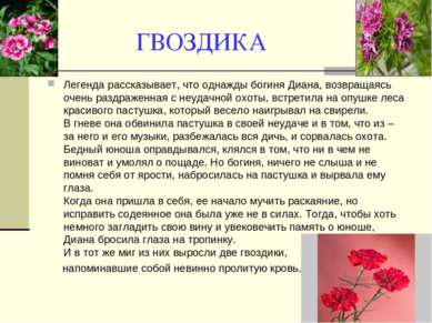 ГВОЗДИКА Легенда рассказывает, что однажды богиня Диана, возвращаясь очень ра...