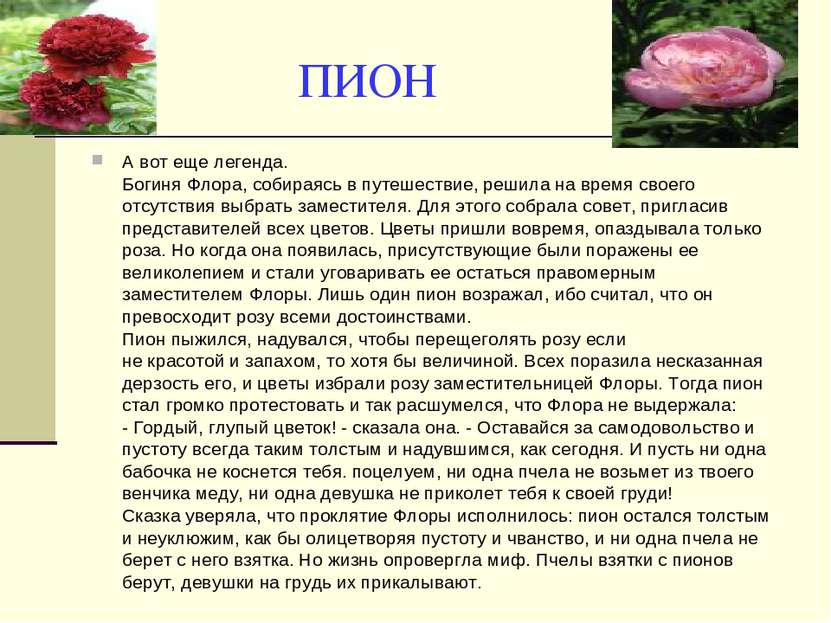 ПИОН А вот еще легенда. Богиня Флора, собираясь в путешествие, решила на врем...