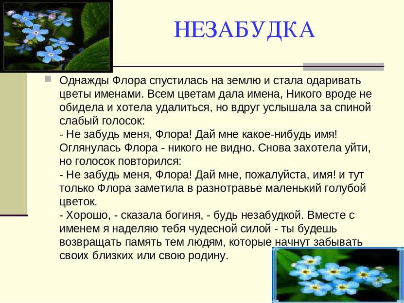 НЕЗАБУДКА Однажды Флора спустилась на землю и стала одаривать цветы именами. ...