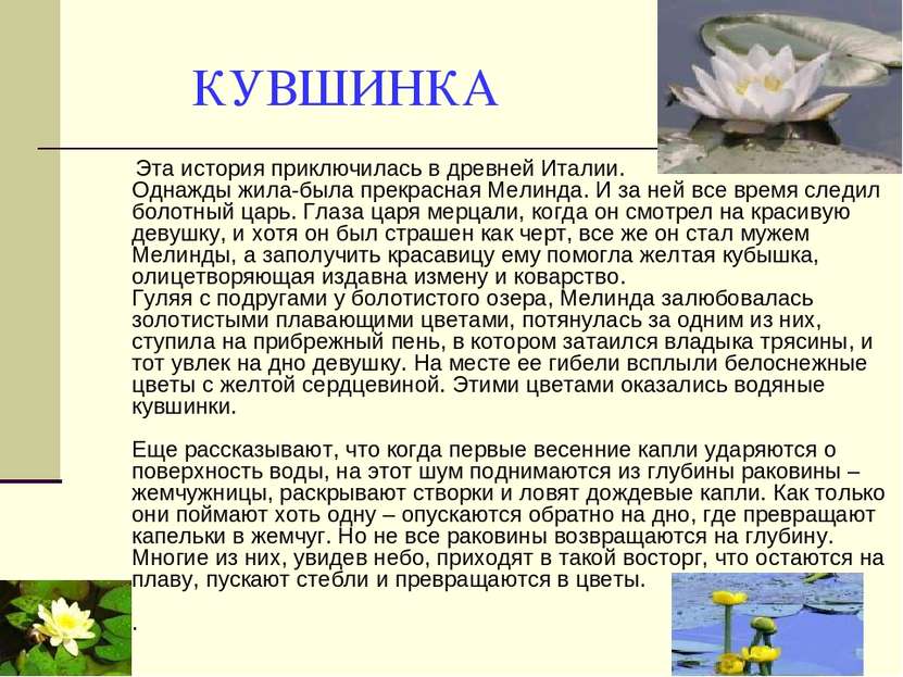 КУВШИНКА Эта история приключилась в древней Италии. Однажды жила-была прекрас...